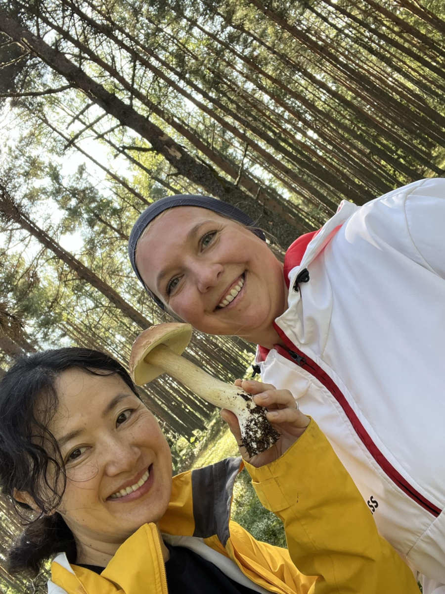 Miltton pressireisid - seenel