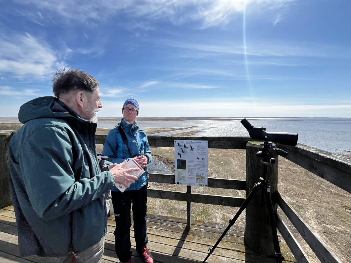 Miltton pressireisid - rannas