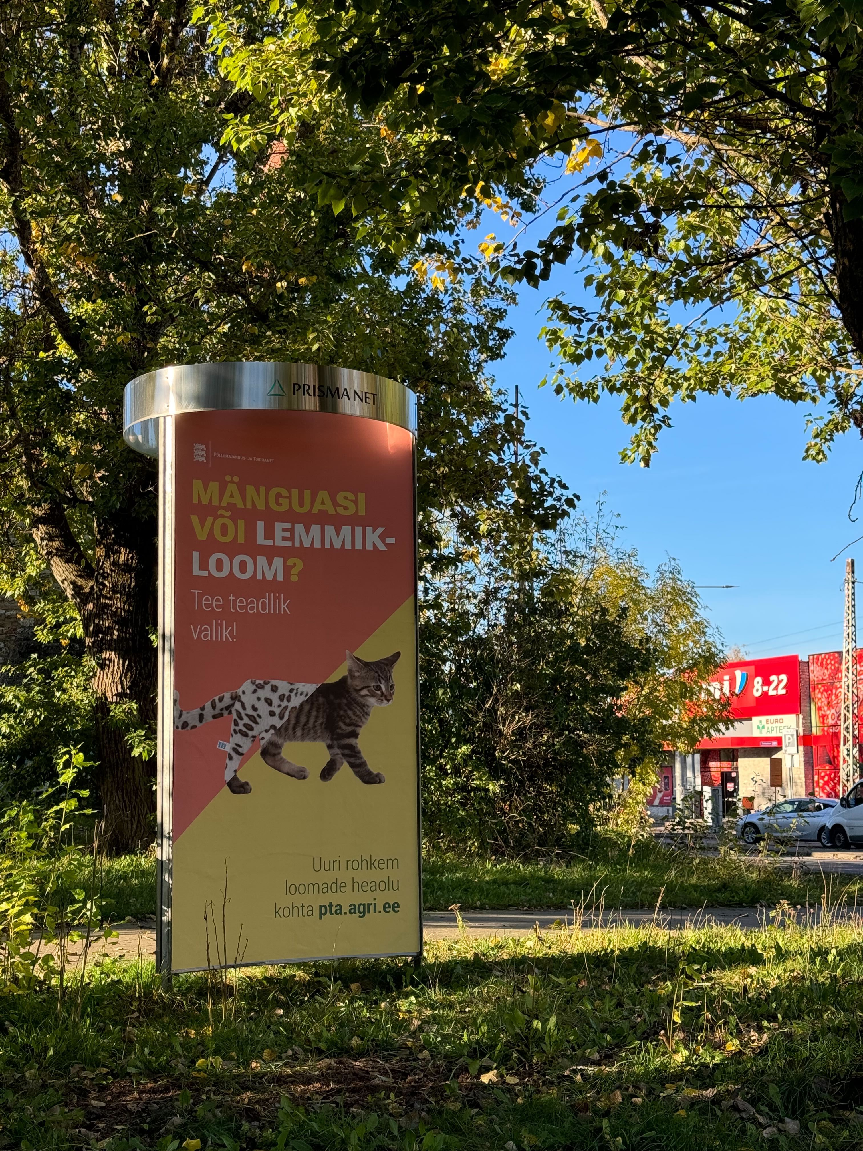 Mänguasi või lemmikloom?